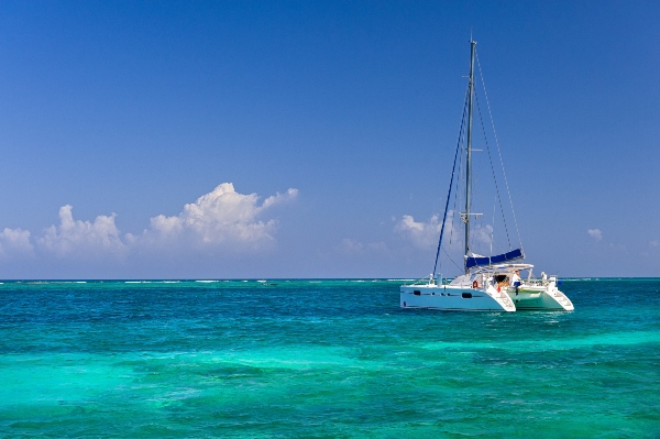 A catamaran sailing through the crystal-clear waters of the Los Cabos Corridor set against a bright blue sky and scenic coastal backdrop