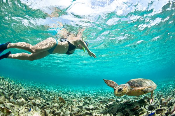 Snorkeling at Akumal Bay with turtles - Agave Villas