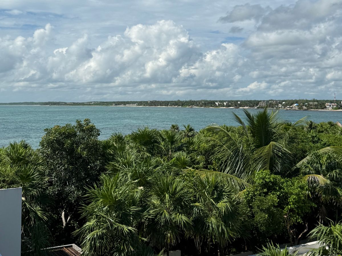 View from a villa in Riviera Maya showing palm trees and beach access at a luxury Puerto Aventuras property from Agave Villas
