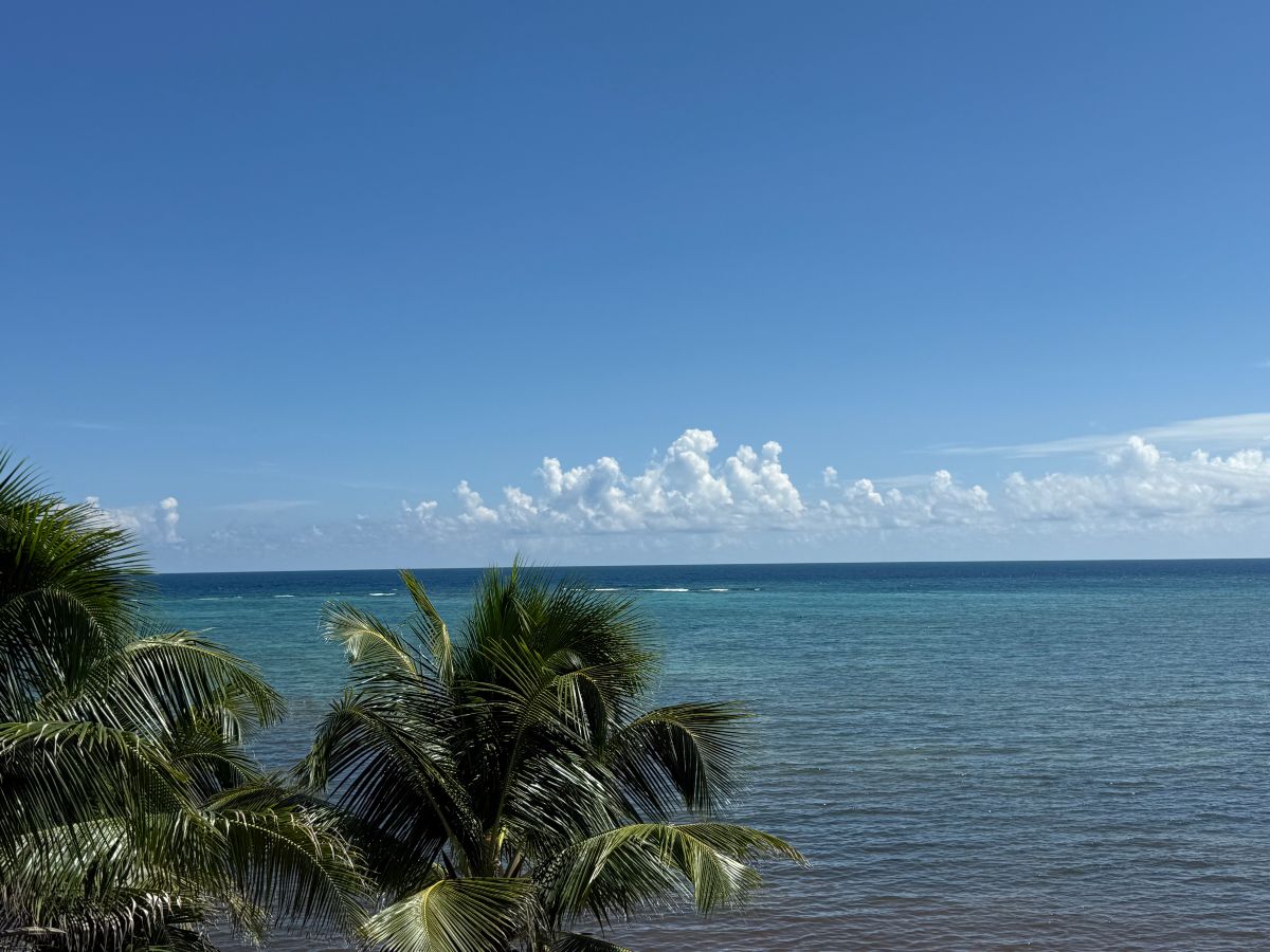 Scenic beachfront view from a luxury villa in Puerto Aventuras, Riviera Maya, ideal for corporate retreats and family vacations with Agave Villas Mexico
