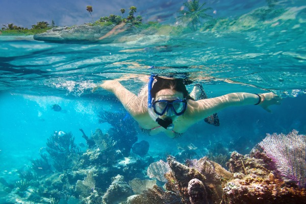 A person snorkeling in crystal-clear, turquoise water, surrounded by vibrant marine life and coral formations