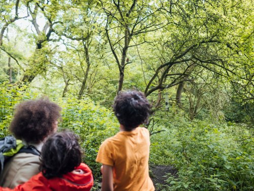 Bird Watching – Agave Villas
