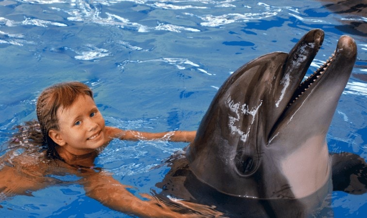 Child swimming with dolphin in Cabo San Lucas