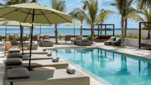 xr:d:DAEMrW4V-o4:21962,j:8842113461217502614,t:24031300