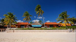 xr:d:DAEMrW4V-o4:18855,j:1595796717304301796,t:23071500