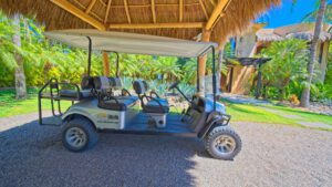 xr:d:DAEMrW4V-o4:17744,j:47927304701,t:23030121