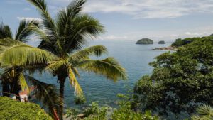 xr:d:DAEMrW4V-o4:19124,j:9189996629110831041,t:23090122