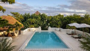 xr:d:DAEMrW4V-o4:16966,j:42578755863,t:22113000