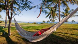 xr:d:DAEMrW4V-o4:17917,j:46248127734,t:23050120