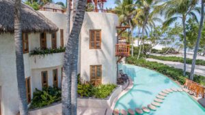 Agave Site Image Template