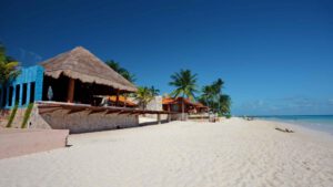 xr:d:DAEMrW4V-o4:18856,j:6892029877003254102,t:23071500