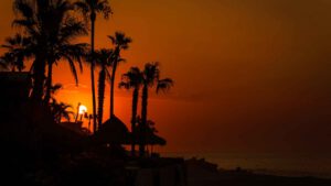 xr:d:DAEMrW4V-o4:19933,j:8056223049118176850,t:23111421