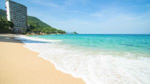 xr:d:DAEMrW4V-o4:19876,j:365200677061528165,t:23111320