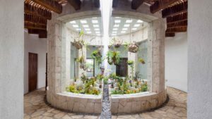 xr:d:DAEMrW4V-o4:18870,j:1595796716919464462,t:23071500