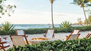 Agave Site Image Template