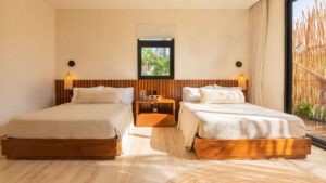 xr:d:DAEMrW4V-o4:19351,j:4364393960678526241,t:23101323