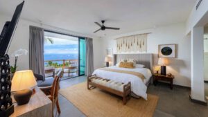 xr:d:DAEMrW4V-o4:22061,j:3782319559130114745,t:24031517