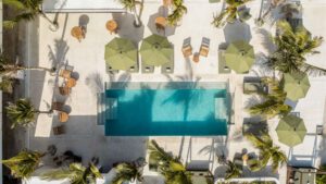 xr:d:DAEMrW4V-o4:21932,j:732256430343064499,t:24031223