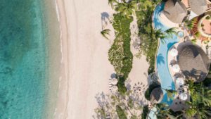 Agave Site Image Template