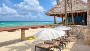 xr:d:DAEMrW4V-o4:18876,j:1595796717475303990,t:23071500