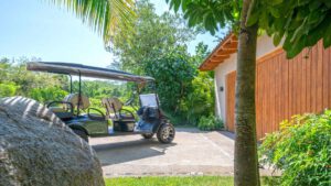 xr:d:DAEMrW4V-o4:20291,j:7460622814494389557,t:23112219