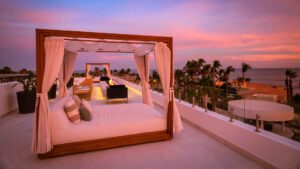 xr:d:DAEMrW4V-o4:21075,j:2349042083464497391,t:24010820