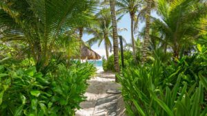 xr:d:DAEMrW4V-o4:19209,j:809925052518947992,t:23091519