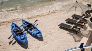 xr:d:DAEMrW4V-o4:22124,j:6638728237944459678,t:24032116