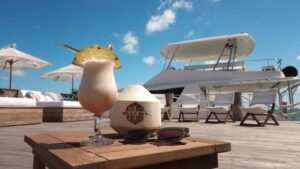 xr:d:DAEMrW4V-o4:22121,j:7799531040939160127,t:24032116