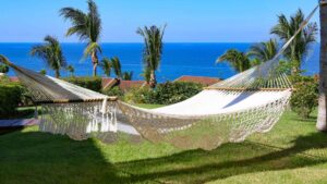 xr:d:DAEMrW4V-o4:17966,j:46975861053,t:23051123