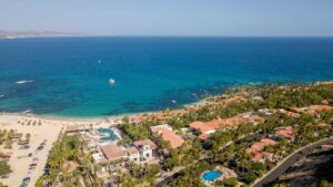 xr:d:DAEMrW4V-o4:16951,j:41944437980,t:22112319