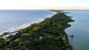 xr:d:DAEMrW4V-o4:17849,j:45954506098,t:23042619