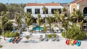 xr:d:DAEMrW4V-o4:21934,j:3921930863303881375,t:24031223