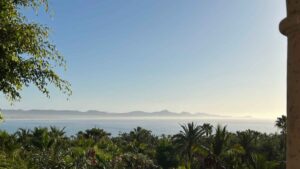 xr:d:DAEMrW4V-o4:18787,j:573479155186260274,t:23071016