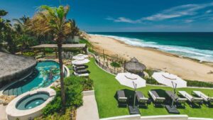 xr:d:DAEMrW4V-o4:18069,j:4628695693,t:23051320