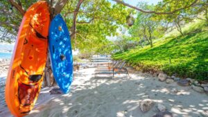 xr:d:DAEMrW4V-o4:18495,j:2156493310969926841,t:23062921