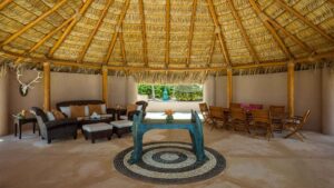 xr:d:DAEMrW4V-o4:17056,j:161200150,t:22120820