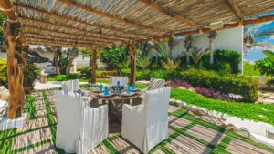 xr:d:DAEMrW4V-o4:18092,j:4628847917,t:23051321