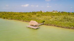 xr:d:DAEMrW4V-o4:17853,j:3490747545,t:23042619