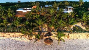 xr:d:DAEMrW4V-o4:17851,j:3490722413,t:23042619