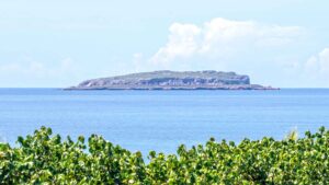 xr:d:DAEMrW4V-o4:19251,j:7191527057767513333,t:23092817