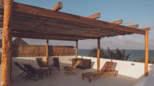 xr:d:DAEMrW4V-o4:17867,j:45954901426,t:23042619