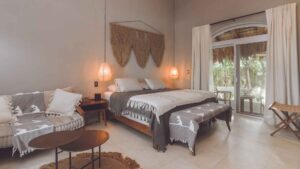 xr:d:DAEMrW4V-o4:17890,j:3491441663,t:23042619