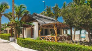 xr:d:DAEMrW4V-o4:18094,j:4628858756,t:23051321