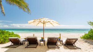 xr:d:DAEMrW4V-o4:19211,j:4022117488676451840,t:23091519