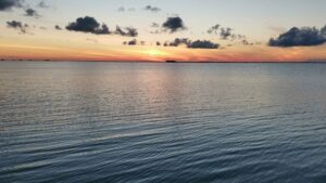 xr:d:DAEMrW4V-o4:17897,j:3491539690,t:23042619