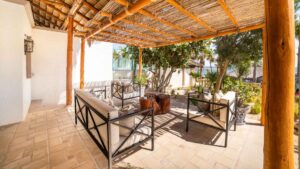 xr:d:DAEMrW4V-o4:18088,j:4628825259,t:23051321