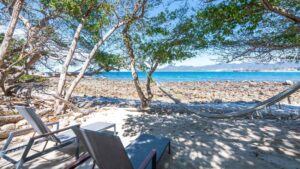 xr:d:DAEMrW4V-o4:18496,j:7924478532748833266,t:23062921