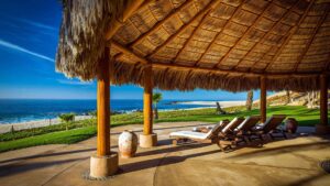 xr:d:DAEMrW4V-o4:17047,j:43372384698,t:22120820