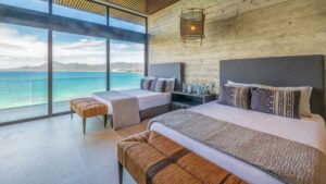 xr:d:DAEMrW4V-o4:18463,j:7891827437743150429,t:23062921